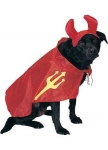 Дьявол Dog