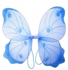 Крылья бабочки голубые