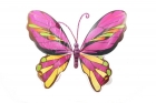 Крылья бабочки многоцветные
