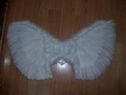 Крылья нежного ангела