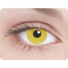 Линзы Желтый глаз