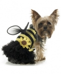 Пчелка Dog
