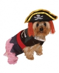 Пират Dog