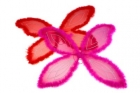 Пурпурные крылья бабочки