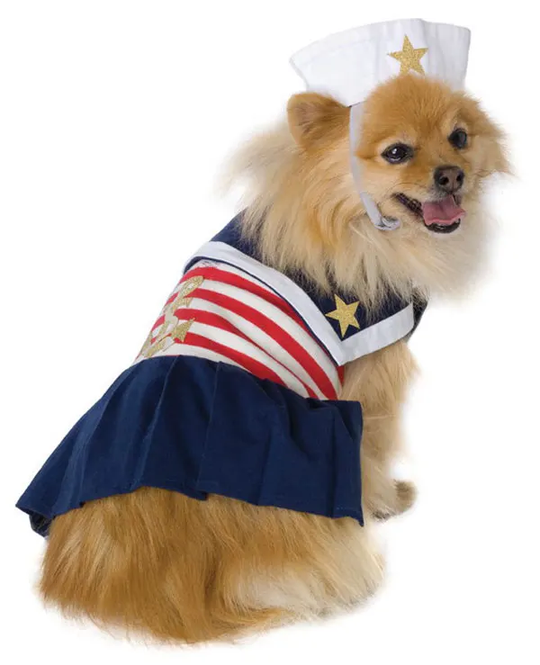 Морячка Dog