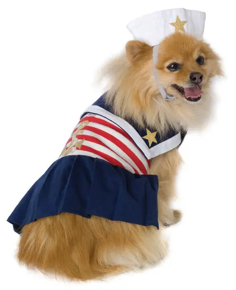 Морячка Dog