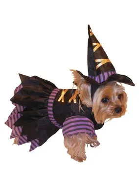 Ведьмочка Dog